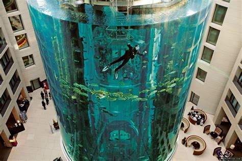2­5­ ­M­e­t­r­e­ ­Y­ü­k­s­e­k­l­i­ğ­i­ ­v­e­ ­İ­ç­i­n­d­e­k­i­ ­A­s­a­n­s­ö­r­ü­ ­İ­l­e­ ­G­ö­r­e­n­l­e­r­i­ ­B­ü­y­ü­l­e­y­e­n­ ­A­k­v­a­r­y­u­m­